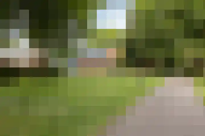 Schrijnwerkershorst 229 Apeldoorn thumbnail 42