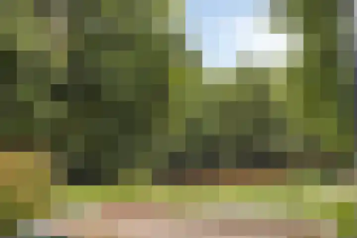 Schrijnwerkershorst 229 Apeldoorn thumbnail 43