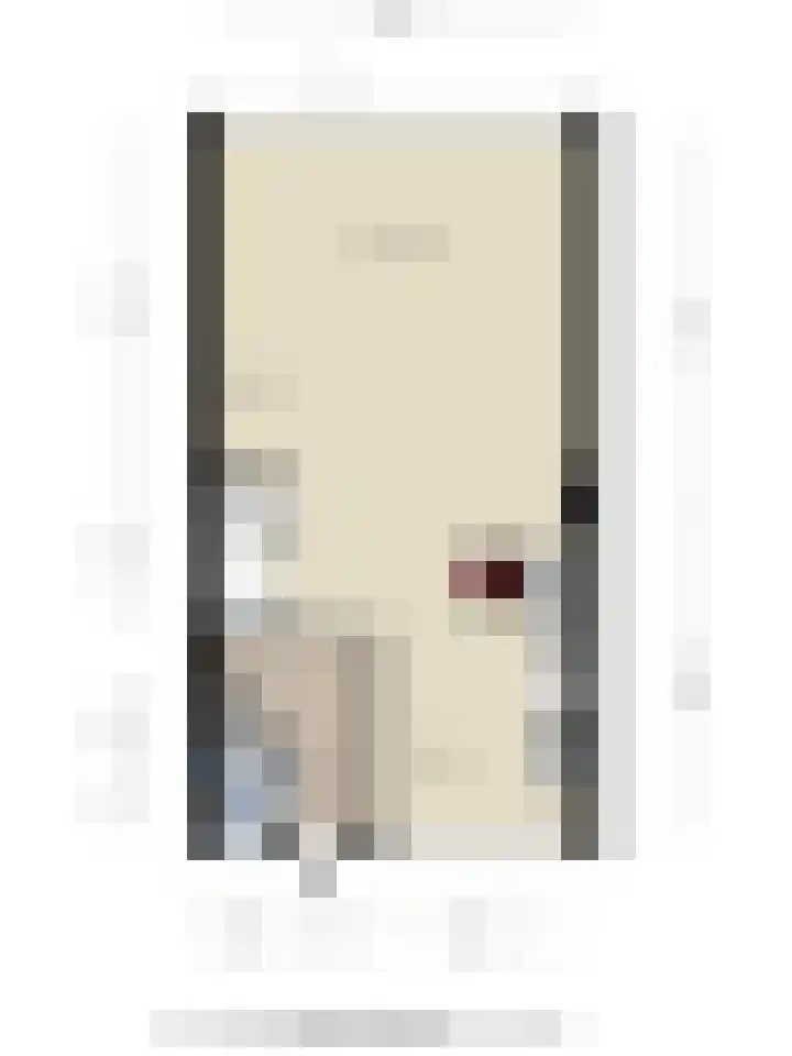 Schrijnwerkershorst 229 Apeldoorn thumbnail 44
