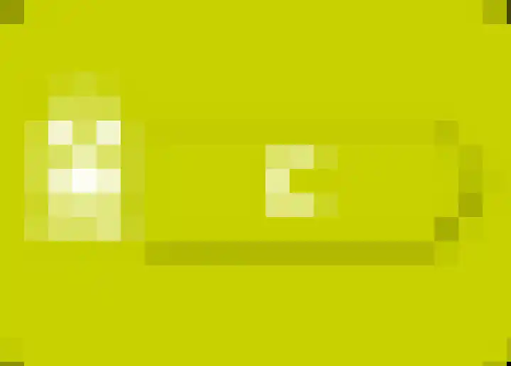 Schrijnwerkershorst 229 Apeldoorn thumbnail 49
