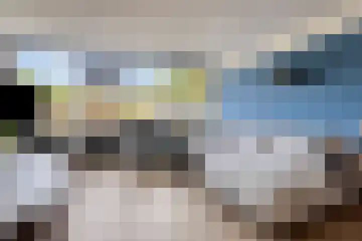 Schrijnwerkershorst 229 Apeldoorn thumbnail 7
