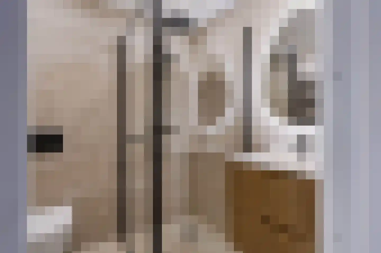 Schrijnwerkershorst 344 Apeldoorn thumbnail 16