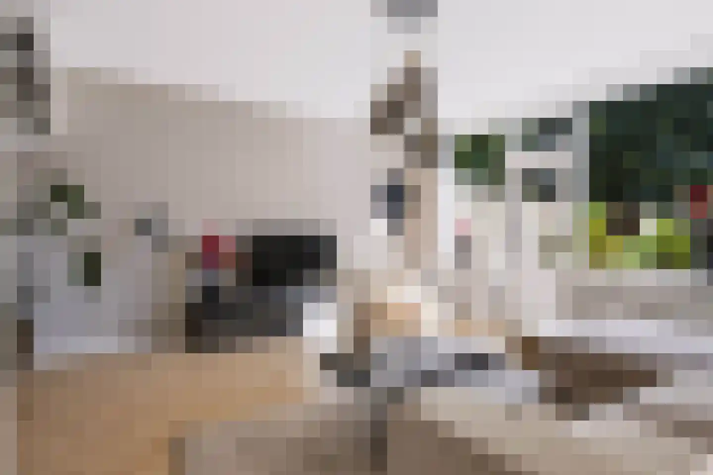 Schrijnwerkershorst 344 Apeldoorn thumbnail 7