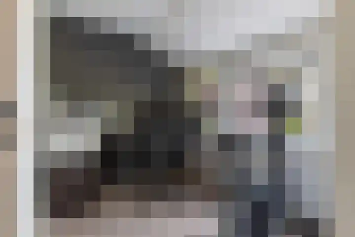 Schrijnwerkershorst 613 Apeldoorn thumbnail 14