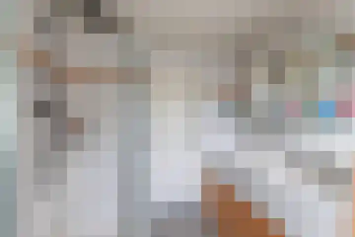 Schrijnwerkershorst 613 Apeldoorn thumbnail 17