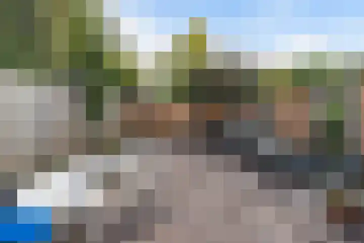 Schrijnwerkershorst 613 Apeldoorn thumbnail 20