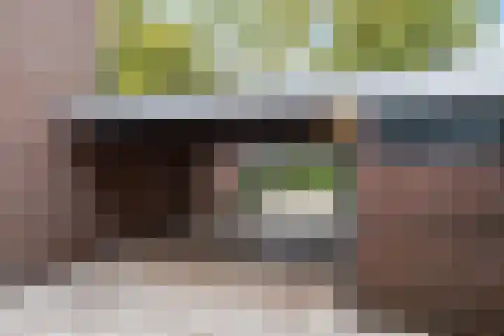 Schrijnwerkershorst 613 Apeldoorn thumbnail 21