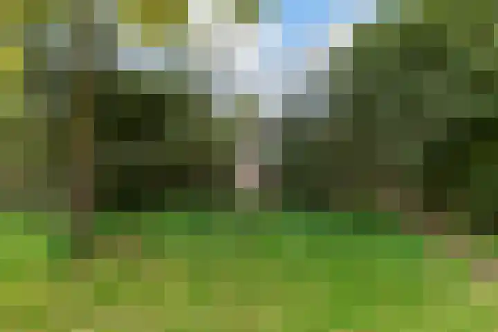 Schrijnwerkershorst 613 Apeldoorn thumbnail 25