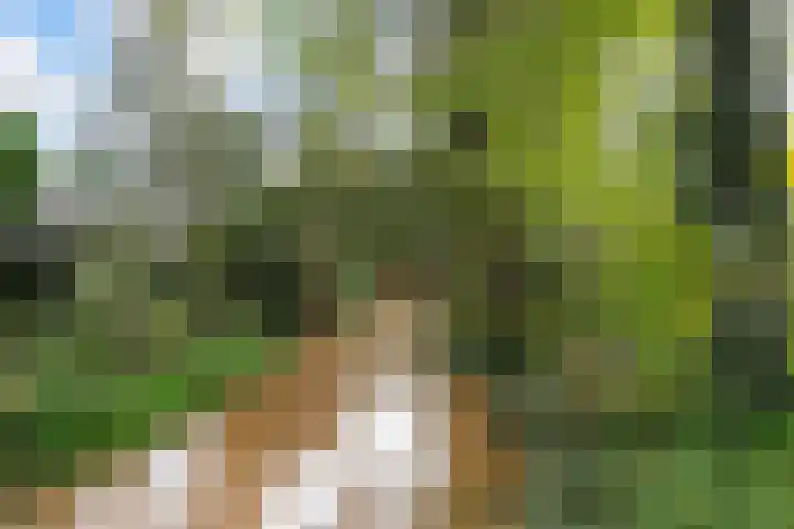 Schrijnwerkershorst 613 Apeldoorn thumbnail 26