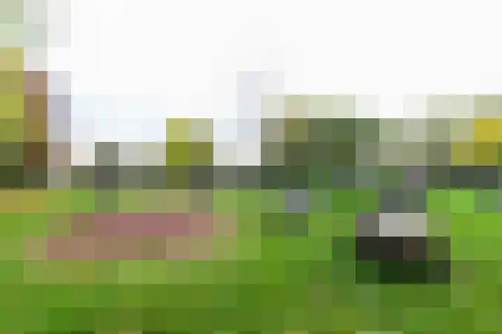 Schrijnwerkershorst 613 Apeldoorn thumbnail 28