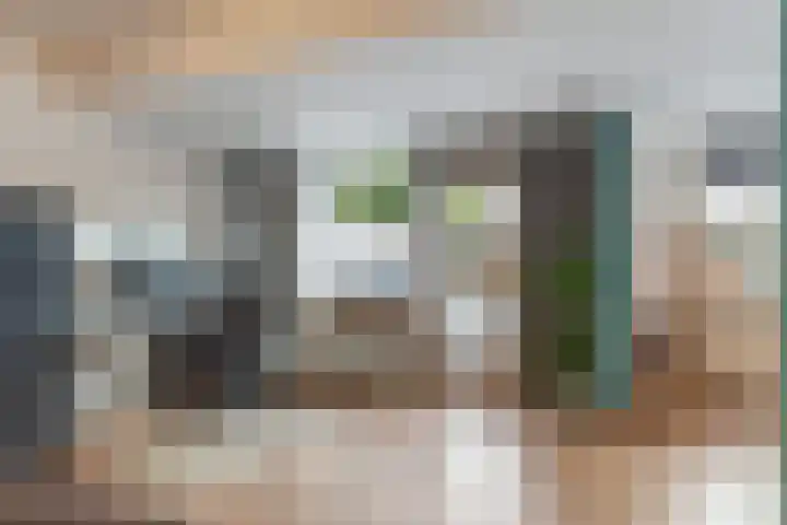 Schrijnwerkershorst 613 Apeldoorn thumbnail 4