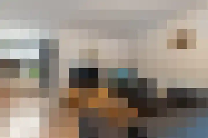 Schrijnwerkershorst 613 Apeldoorn thumbnail 5