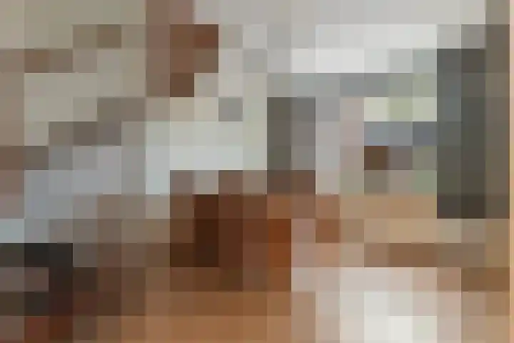 Schrijnwerkershorst 613 Apeldoorn thumbnail 7