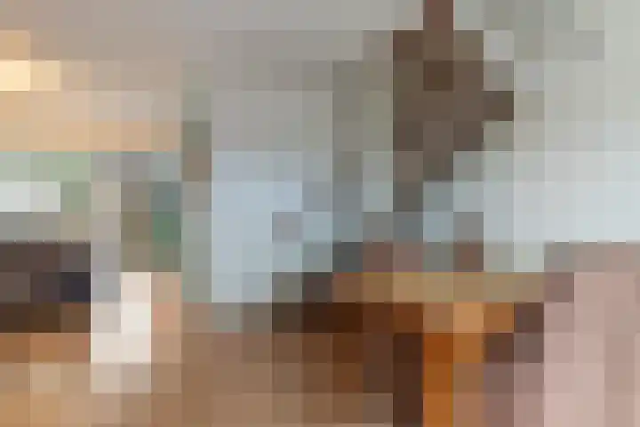 Schrijnwerkershorst 613 Apeldoorn thumbnail 8
