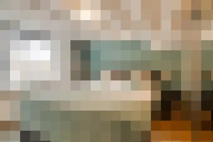 Schrijnwerkershorst 721 Apeldoorn thumbnail 17