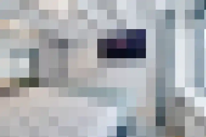 Schrijnwerkershorst 721 Apeldoorn thumbnail 18
