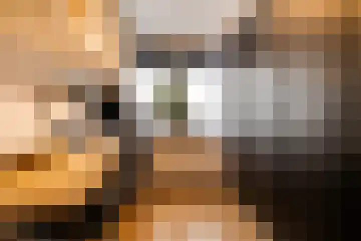 Schrijnwerkershorst 721 Apeldoorn thumbnail 21