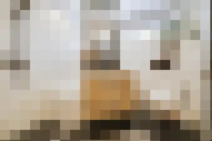 Schrijnwerkershorst 721 Apeldoorn thumbnail 23