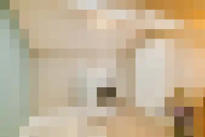 Schrijnwerkershorst 721 Apeldoorn thumbnail 25