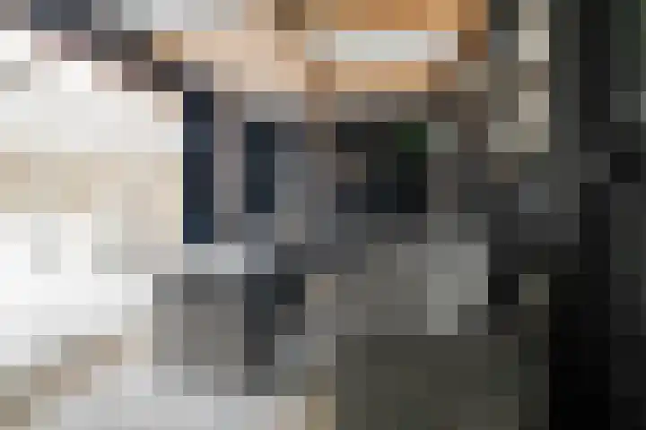 Schrijnwerkershorst 721 Apeldoorn thumbnail 31