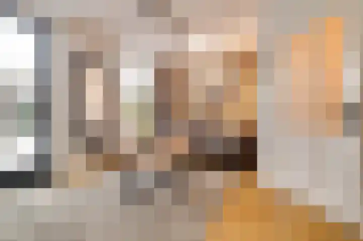 Schrijnwerkershorst 721 Apeldoorn thumbnail 4