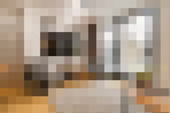 Schrijnwerkershorst 721 Apeldoorn thumbnail 5