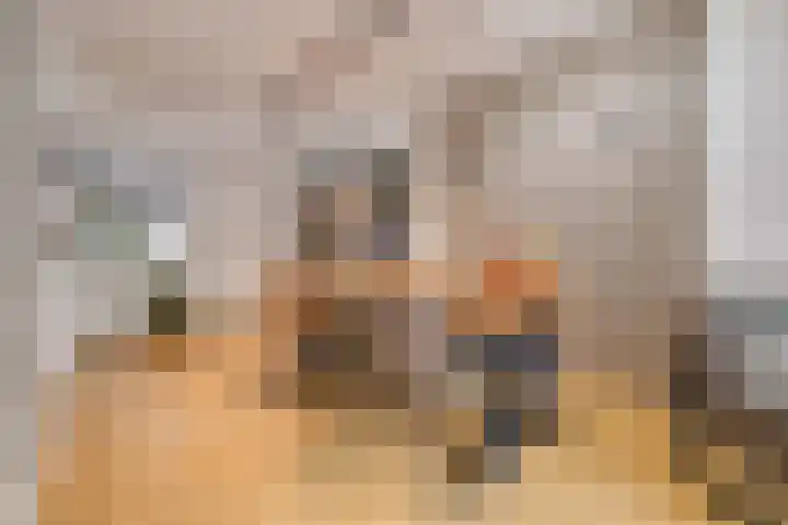 Schrijnwerkershorst 721 Apeldoorn thumbnail 7