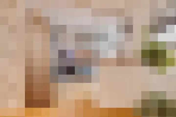 Schrijnwerkershorst 721 Apeldoorn thumbnail 9