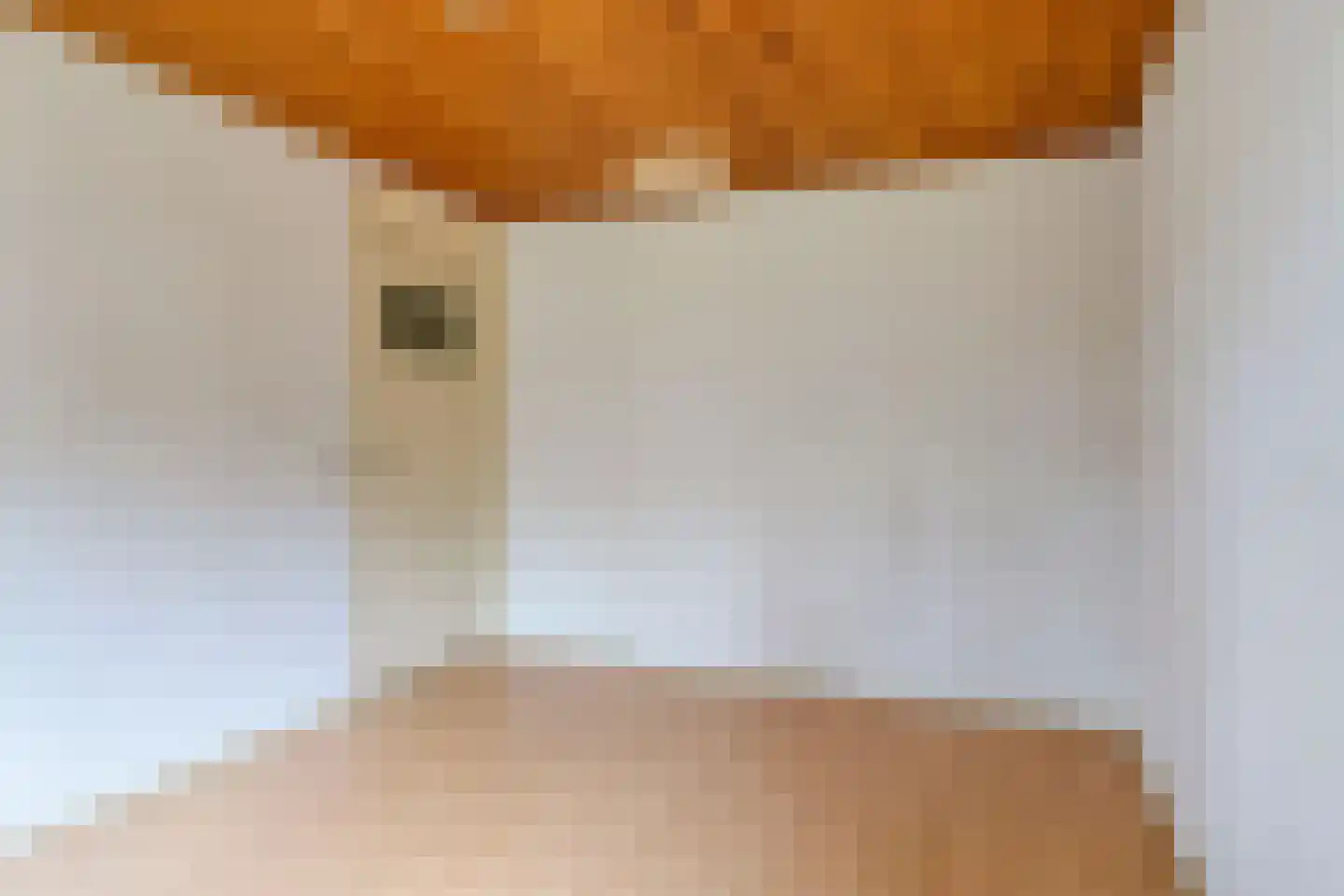 Schrijnwerkershorst 739 Apeldoorn thumbnail 20