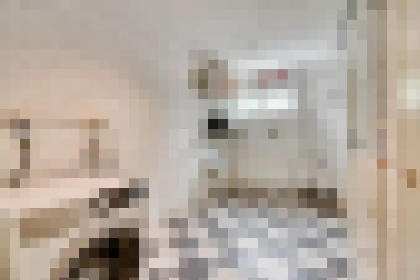 Schrijnwerkerslaan 25 De Meern thumbnail 31