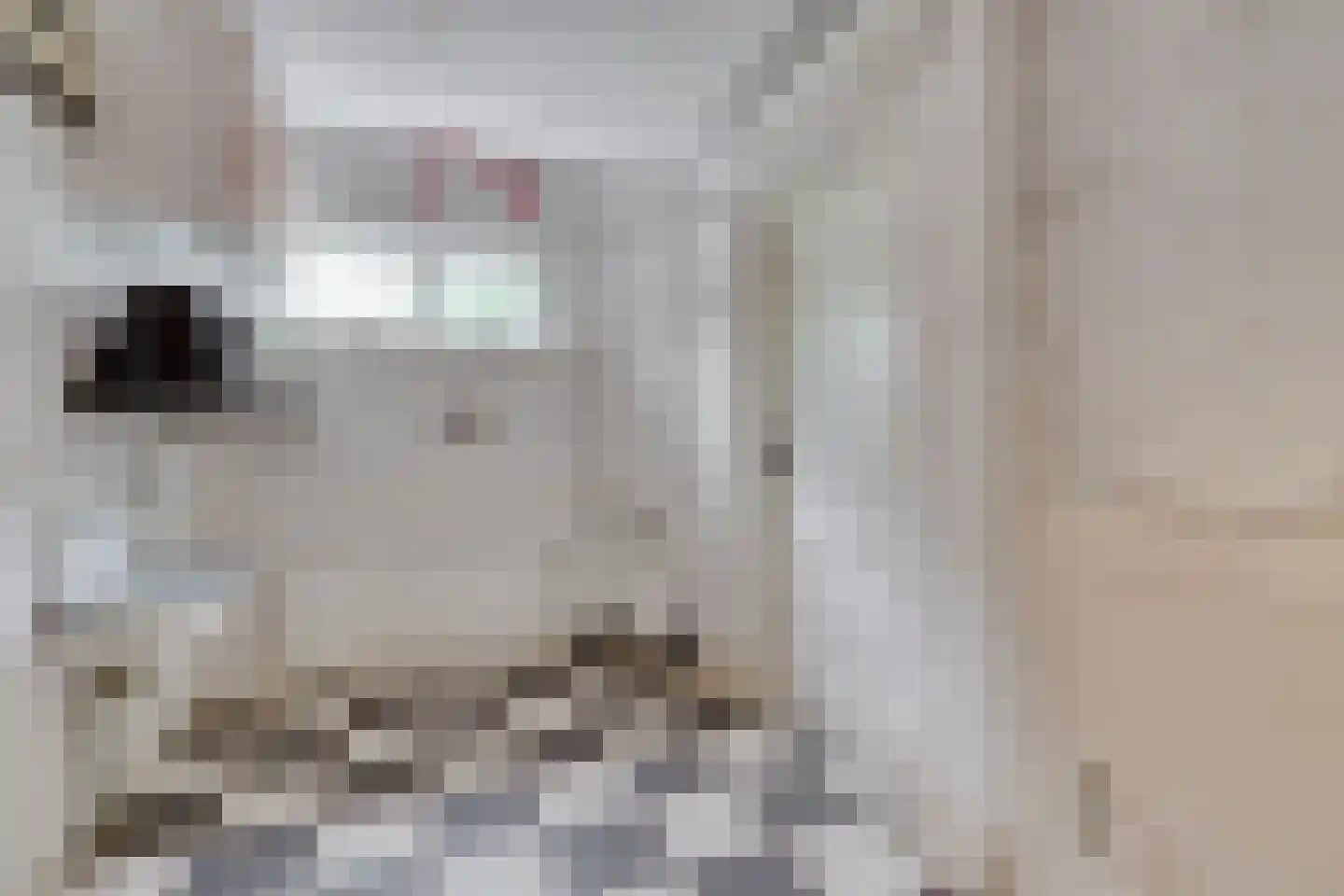 Schrijnwerkerslaan 25 De Meern thumbnail 32