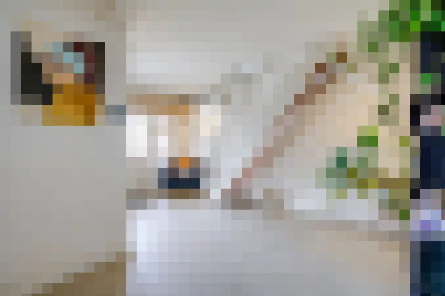 Schrijnwerkerslaan 25 De Meern thumbnail 34