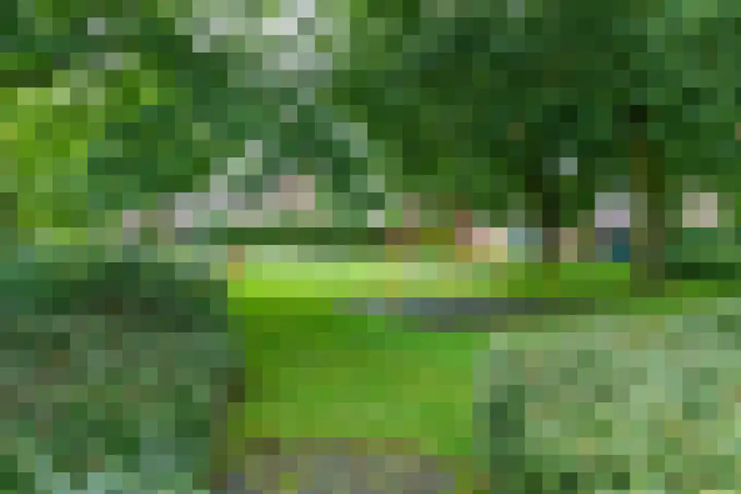 Schrijnwerkerslaan 25 De Meern thumbnail 57