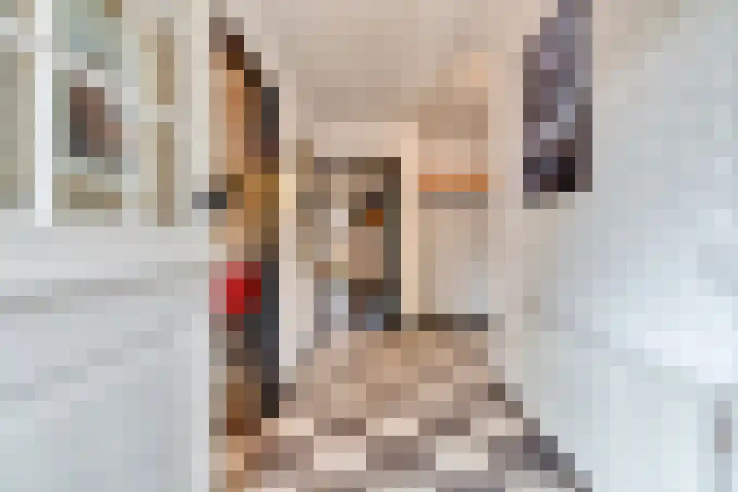 Schrijnwerkerslaan 25 De Meern thumbnail 7