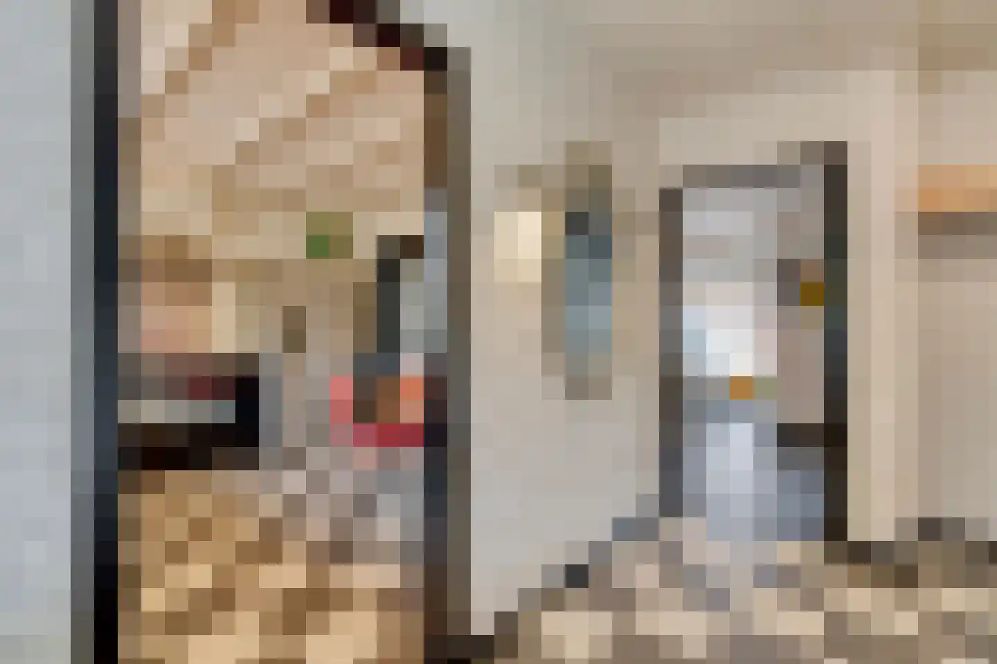 Schrijnwerkerslaan 25 De Meern thumbnail 8