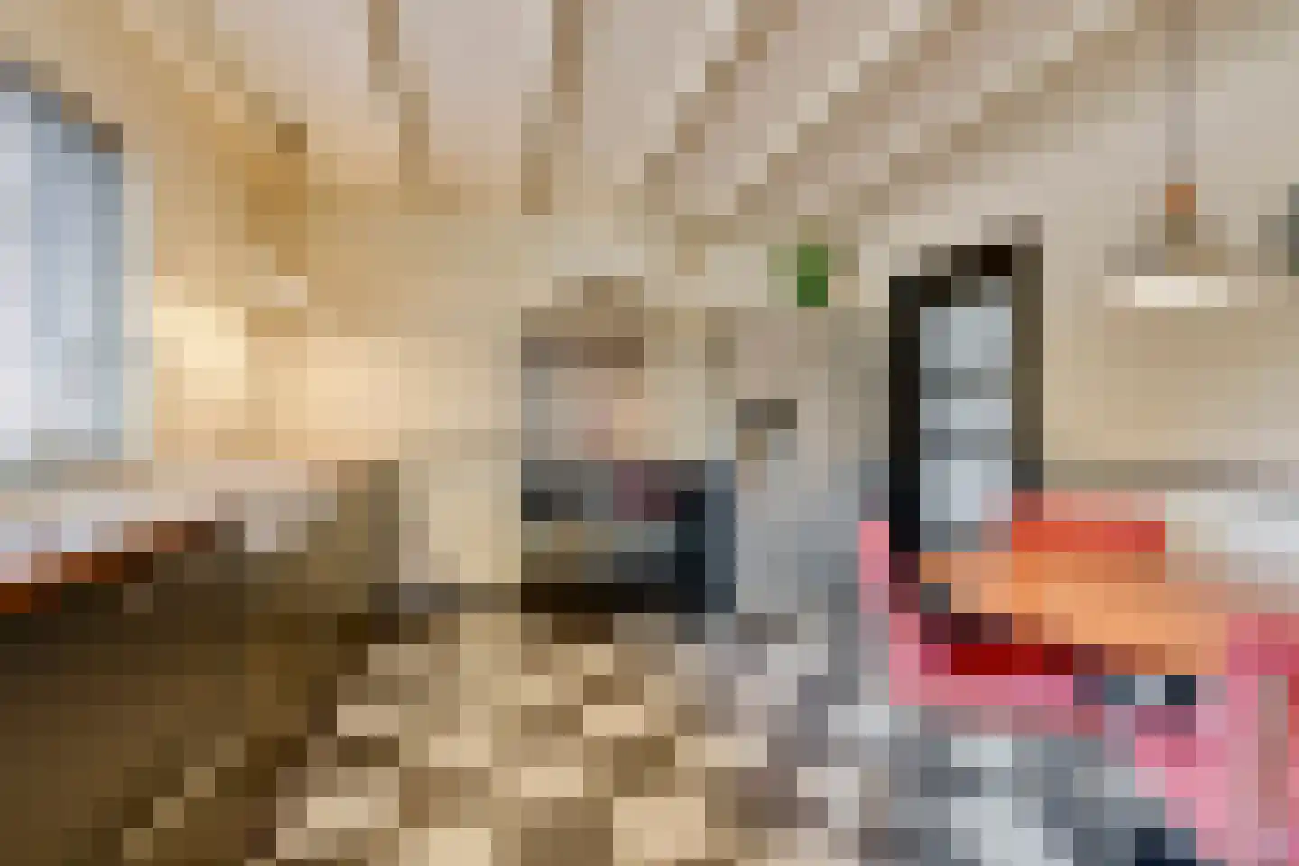 Schrijnwerkerslaan 25 De Meern thumbnail 9