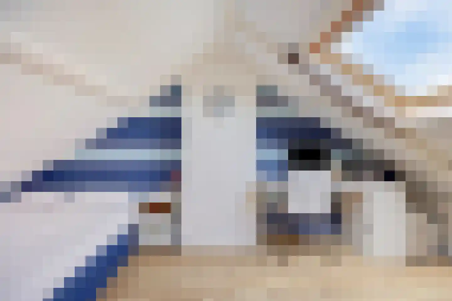 Schrijnwerkerstraat 1 Gorinchem thumbnail 4