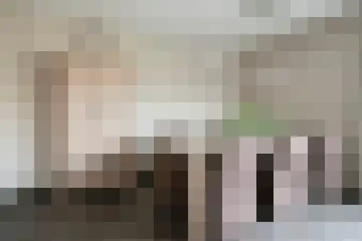 Schrijnwerkerstraat 16 Roggel thumbnail 12