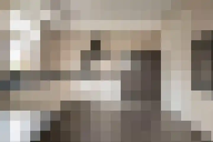 Schrijnwerkerstraat 16 Roggel thumbnail 13