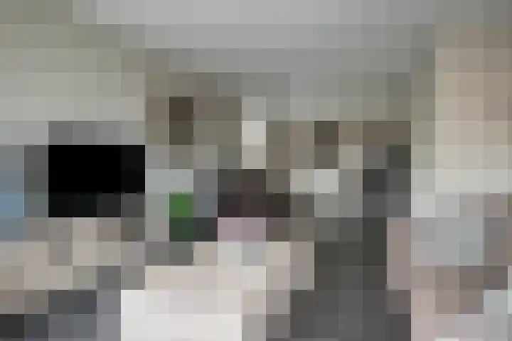 Schrijnwerkerstraat 16 Roggel thumbnail 5