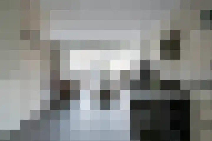 Schrijnwerkerstraat 16 Roggel thumbnail 6