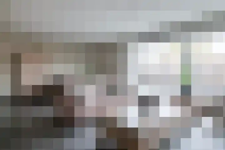 Schrijnwerkerstraat 16 Roggel thumbnail 7