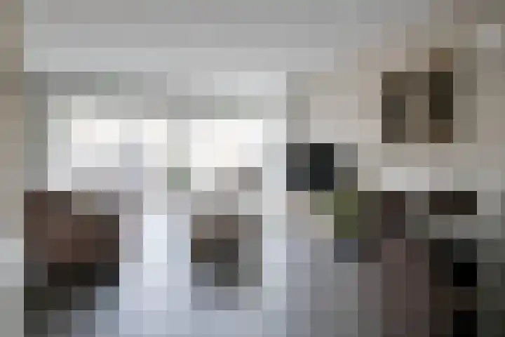 Schrijnwerkerstraat 16 Roggel thumbnail 9