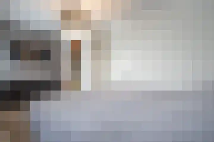 Schrijnwerkerstraat 17 Roggel thumbnail 18