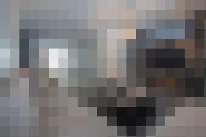 Schrijnwerkerstraat 17 Roggel thumbnail 8