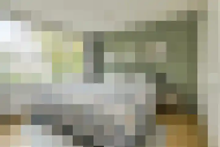 Schrijnwerkerstraat 19 Breda thumbnail 33