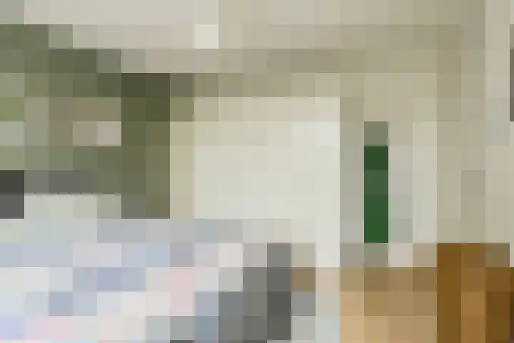 Schrijnwerkerstraat 19 Breda thumbnail 35