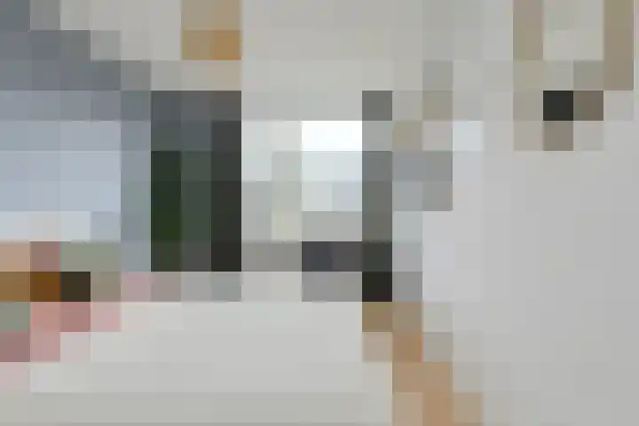Schrijnwerkerstraat 19 Breda thumbnail 39