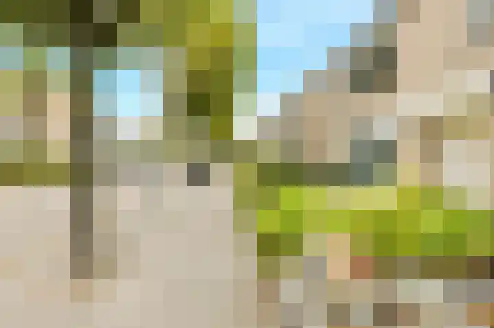 Schrijnwerkerstraat 19 Breda thumbnail 8