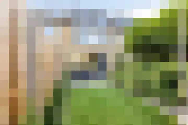 Schrijnwerkerstraat 25 Breda thumbnail 30